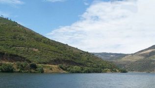 Die Weinhänge am Douro, wo der Portwein herkommt, Portugal##Foto: WikimediaCommons, Cornelius Die Weinhänge am Douro, wo der Portwein herkommt, Portugal