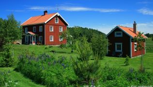 Rote Holzhäuser sind typisch für Schweden Rote Holzhäuser sind typisch für Schweden
