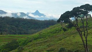 Bergwelt in Sri Lanka mit dem Adam’s Peak genannten Gipfel Sri Pada##Foto: Flickr.com, Amila Kanchana Bergwelt in Sri Lanka mit dem Adam’s Peak genannten Gipfel Sri Pada