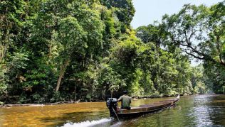 Im Norden Malaysias kann man die Natur genießen##Foto: rp Im Norden Malaysias kann man die Natur genießen