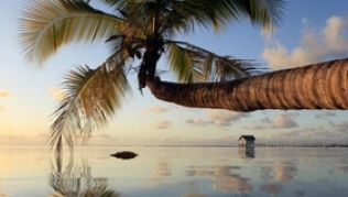 Postkartenkulisse auf Tahiti: Einmal im Leben in die Südsee fliegen - auch Weltreisende können diesen Stop einplanen##Foto: Tahiti Tourisme/Gregoire Le Bacon Postkartenkulisse auf Tahiti: Einmal im Leben in die Südsee fliegen - auch Weltreisende können diesen Stop einplanen