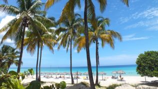 Text...##Foto: pixabay.com Die Hotelanlage liegt in einem tropischen Garten direkt am feinen Sandstrand
