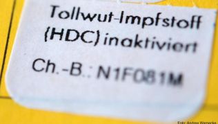 Gegen Tollwut kann man sich impfen lassen - die Krankheit verläuft unbehandelt tödlich Gegen Tollwut kann man sich impfen lassen - die Krankheit verläuft unbehandelt tödlich