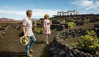 Weinbaugebiet von La Geria auf Lanzarote. Kleine Steinwände schützen die Reben vor Wind##Foto: Turismo de Canarias Weinbaugebiet von La Geria auf Lanzarote. Kleine Steinwände schützen die Reben vor Wind