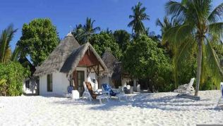 Malediven, Nord-Male-Atoll, Thulhagiri Island: Barfußinsel mit Wellensittichen##Foto: © Angaga Island Resort Malediven, Nord-Male-Atoll, Thulhagiri Island: Barfußinsel mit Wellensittichen