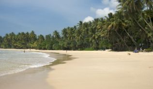 Kaum eine Menschenseele ist am Strand von Mirissa / Sri Lanka - ein Globetrotter-Paradies.##Foto: flickr.com clurr Kaum eine Menschenseele am Strand - ein Globetrotter-Paradies.
