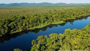 Der Tortuguero-Nationalpark in Costa Rica ist ein Naturparadies und lockt immer mehr Reisende an Der Tortuguero-Nationalpark in Costa Rica ist ein Naturparadies und lockt immer mehr Reisende an