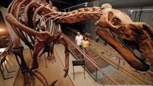 Im «Flinders Discovery Centre» in Hughenden können Fossilienfreunde sich selbst beim Graben versuchen Im «Flinders Discovery Centre» in Hughenden können Fossilienfreunde sich selbst beim Graben versuchen