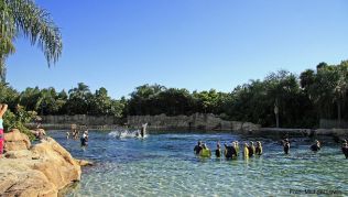 Delfinanlage in der Discovery Cove in Orlando, Florida, in der Besucher mit den Delfinen schwimmen können Delfinanlage in der Discovery Cove in Orlando, Florida, in der Besucher mit den Delfinen schwimmen können