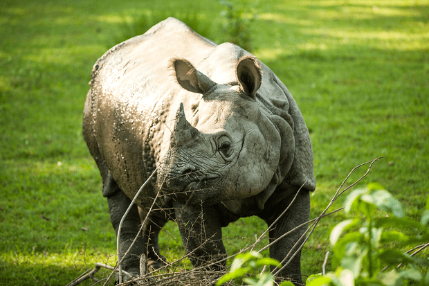 Paradise Reise-Service Nepal Natur & Kultur authentisch erleben