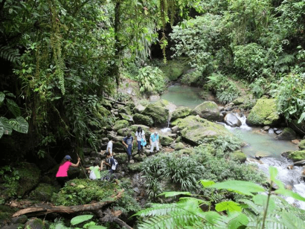 Paradise Reise-Service Ecuador Amazonas & Klein-Galapagos