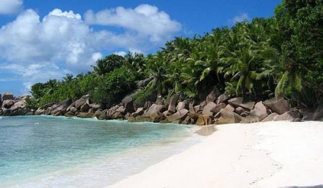 Auf den Seychellen kann man sich nicht entscheiden welcher Strand der schönste ist.