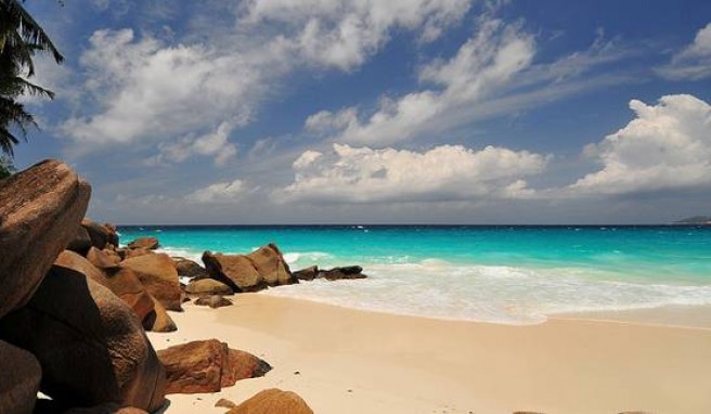 Auf den Seychellen kann man sich nicht entscheiden welcher Strand der schönste ist.