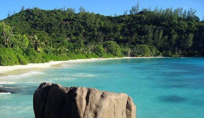 Auf den Seychellen kann man sich nicht entscheiden welcher Strand der schönste ist.