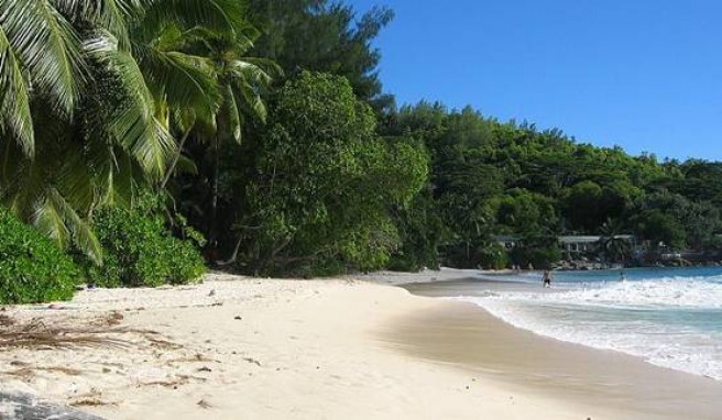 Auf den Seychellen kann man sich nicht entscheiden welcher Strand der schönste ist.