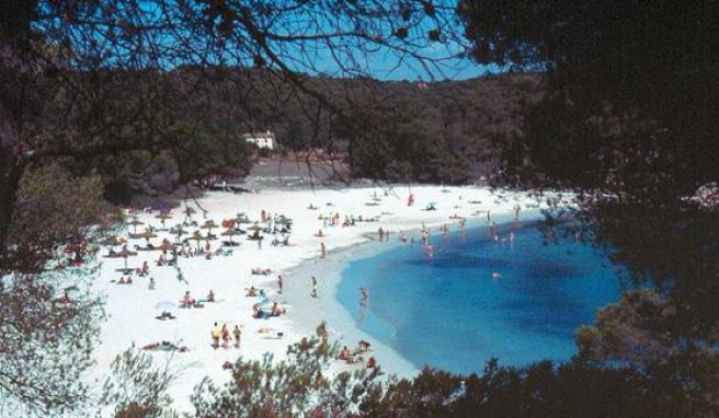 Gut besuchter Strand auf Mallorca.