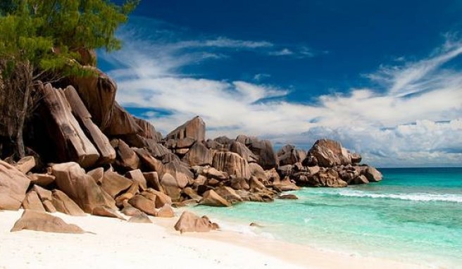 Auf den Seychellen kann man sich nicht entscheiden welcher Strand der schönste ist.