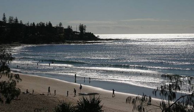 Australien: Kings Beach, Caloundra