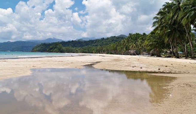 Ebbe am Palawan Beach.