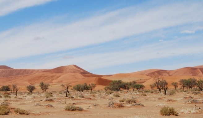 Auf dem Weg zurück zur Campsite, sieht die Namib aus wie gemalt.