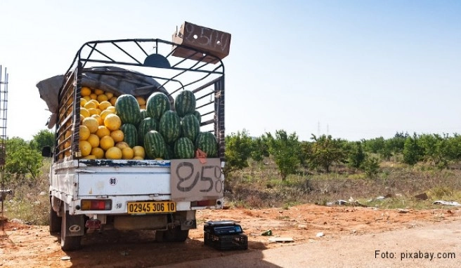 Algerien Beste Reisezeit Algerien