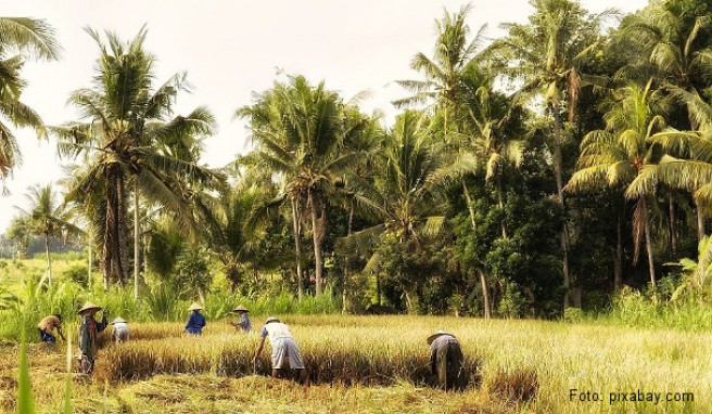 REISE & PREISE weitere Infos zu Bali: Beste Reisezeit