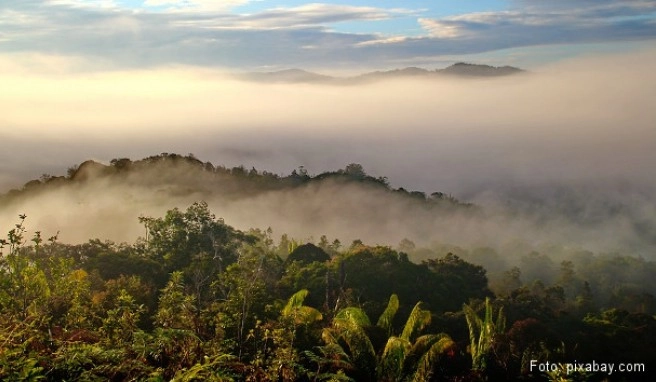 Borneo Beste Reisezeit Borneo