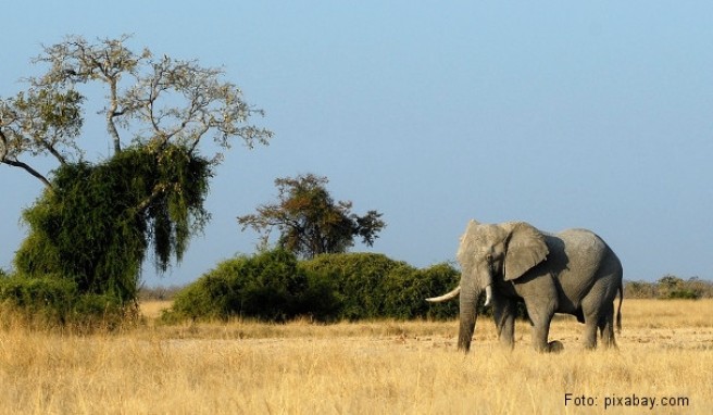  Botswana  Beste Reisezeit Botswana