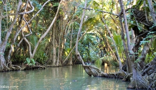 Dominica Beste Reisezeit&nbsp;Dominica