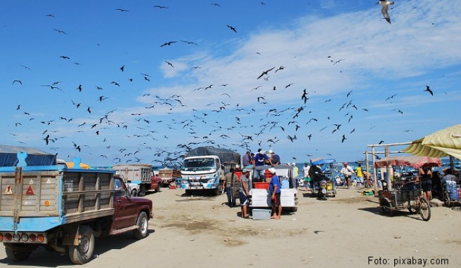 Beste Reisezeit Ecuador  Ecuador