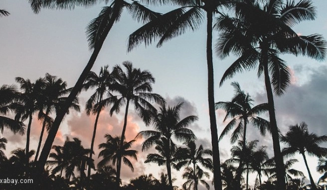 Elfenbeinküste Beste Reisezeit Elfenbeinküste