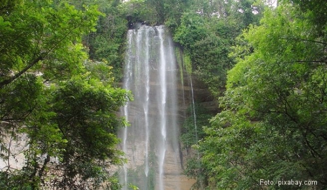  Guinea  Beste Reisezeit Guinea