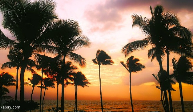 Hawaii: Beste Reisezeit