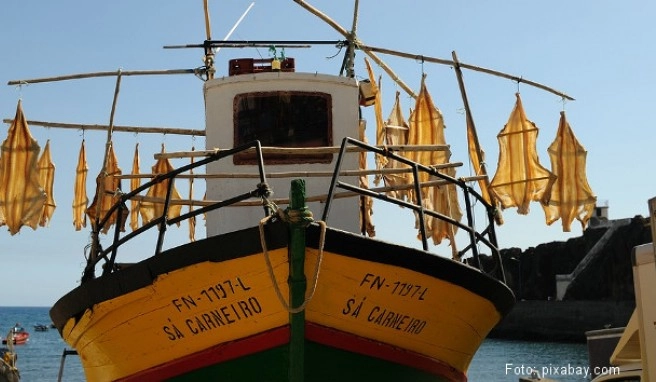 Madeira Beste Reisezeit Madeira