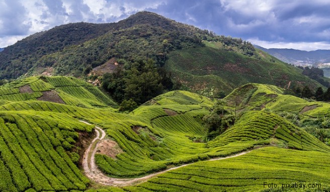  Malaysia  Beste Reisezeit Malaysia