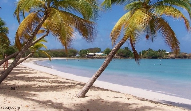 Martinique&nbsp; Beste Reisezeit Martinique