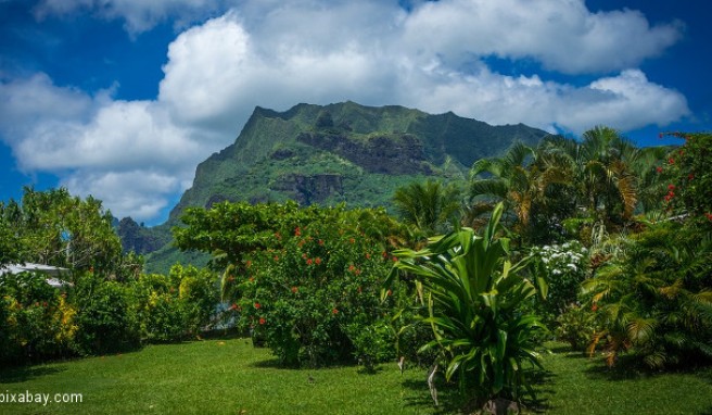 		 Moorea  Beste Reisezeit Moorea