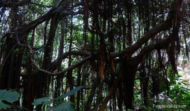  Papua-Neuguinea  Beste Reisezeit Papua-Neuguinea