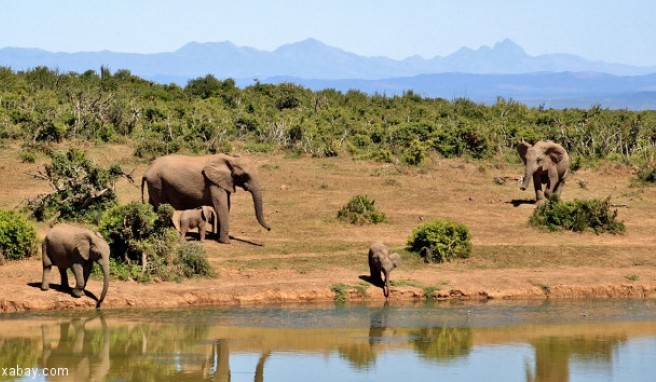  Südafrika  Beste Reisezeit Südafrika