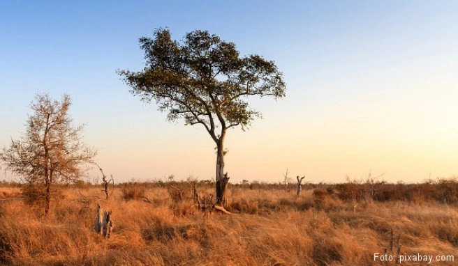 Swasiland Beste Reisezeit Swasiland