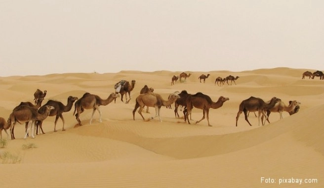 Tunesien Beste Reisezeit Tunesien