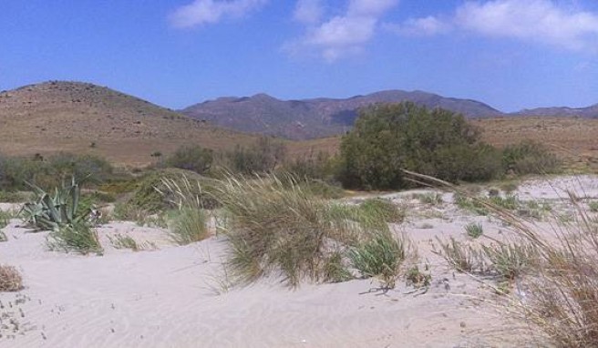 Die Dünen von San Jose, Andalusien, Spanien