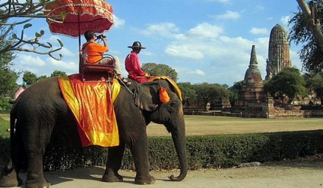 Ayutthaya: Mit dem Elefantentaxi zu den Tempeln. . 