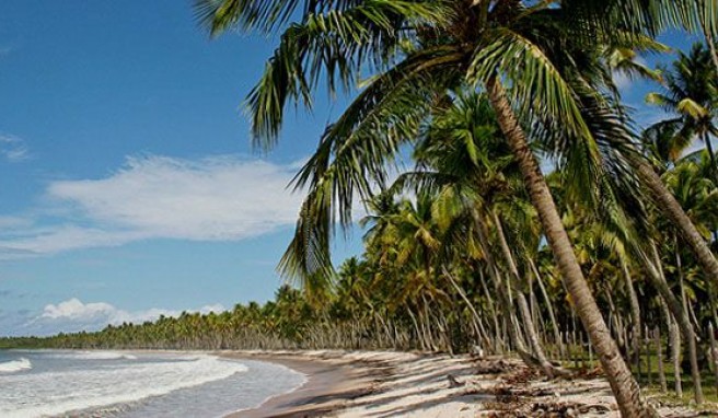 Salvador da Bahia in Brasilien mit Dünen, Strände und Palmen ohne Ende