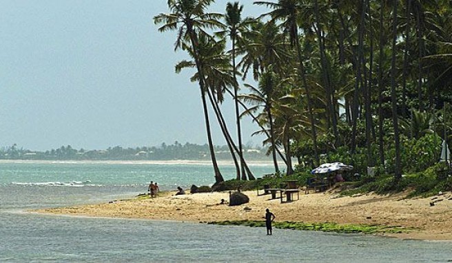 Praia do Forte, ein kleines Stück vom Paradies in Bahia, Brasilien