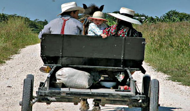 Mennoniten auf dem Heimweg vom Shopping, Shipyard, Belize