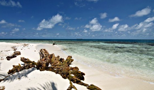 Traumstrände auf den Cayes von Belize##Foto: Wikimedia Commons, Walter Rodriguez Traumstrände auf den Cayes von Belize