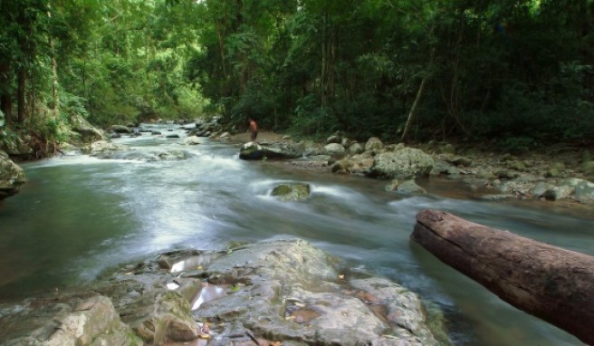 Die Wasserfälle von Kao Soi Dao sind ein Abenteuerspielplatz.