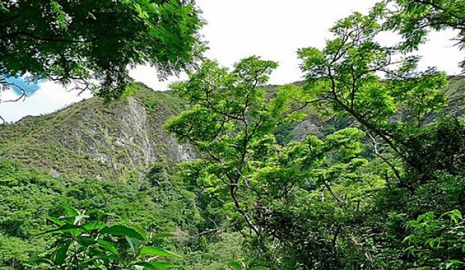 Vilcabamba im grünen Tal der Hundertjährigen, Ecuador