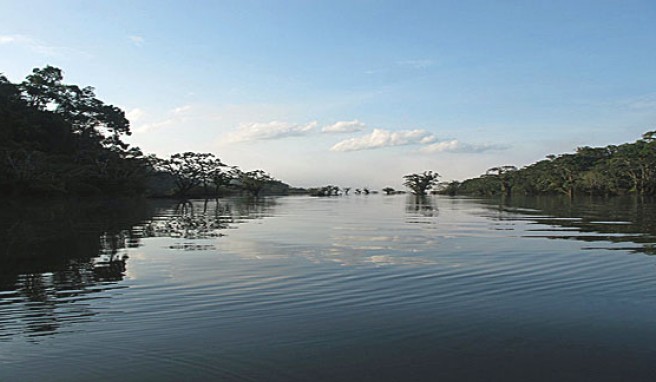 Reisen im Naturreservat von Cuyabeno in Ecuador